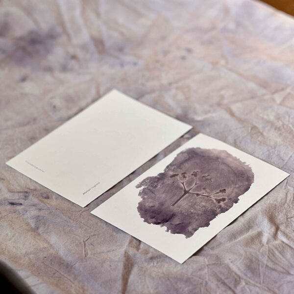 Heermoes, Boterbloem & Vrouwenmantel